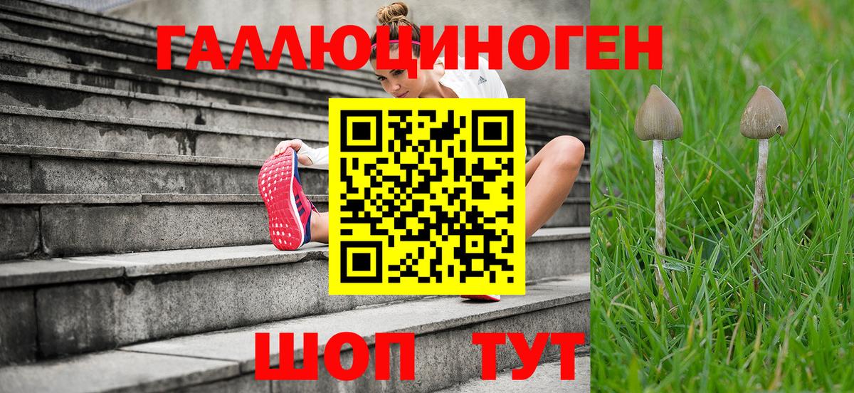 Галлюциногенные грибы MAGIC MUSHROOMS  Вход с VPN  Дзержинский 